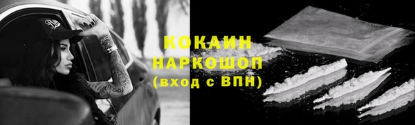 сатива Бронницы
