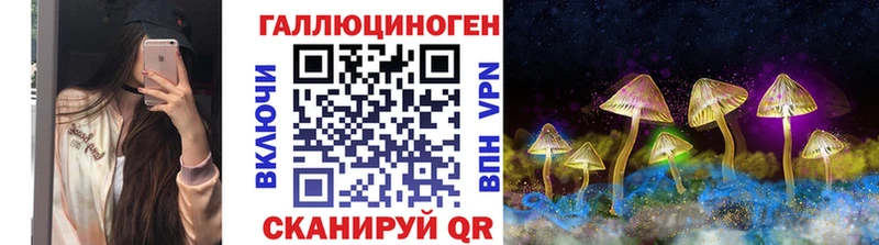 наркошоп  Красавино  Псилоцибиновые грибы Cubensis 